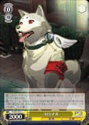 コロマル
Koromaru