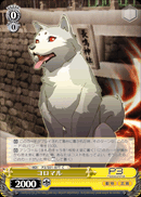 コロマル
Koromaru