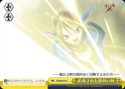 約束された勝利の剣
Sword of Promised Victory