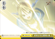 約束された勝利の剣
Sword of Promised Victory