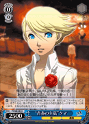 "Assertion of Youth" Teddie