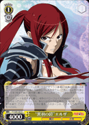 “黒羽の鎧”エルザ
“Black Wing Armor” Erza