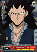 鉄の滅龍魔道士 ガジル
Metal Dragon Slayer Gazille