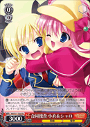 Joint Investigation, Kokoro & Shalo