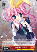 Shalo Under the Cherry Blossoms