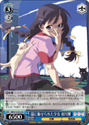 Girl Charmed By a Cat, Tsubasa Hanekawa