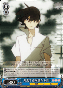 Koyomi Araragi Running Around