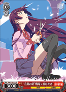 "Scathing Words" Hitagi Senjyogahara
