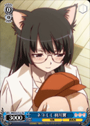 Cat Ears, Tsubasa Hanekawa