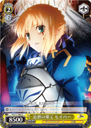 Saber - End of Reign