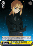 Summoned Heroine, Saber