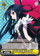 In Pursuit of the End, Kuroyukihime