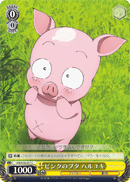 Pink Pig, Haruyuki