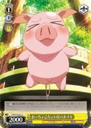 Enormous Klutz, Haruyuki