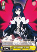 Jet Black Swallowtail Butterfly, Kuroyukihime