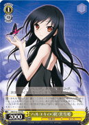 Haruyuki's 《Guardian》, Kuroyukihime
