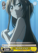 Asuna Jumps to Conclusions