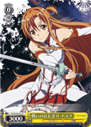 Asuna - Start of the Battle