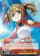 Silica's Unyielding Trust