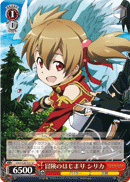 Silica - Start of the Adventure