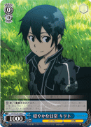 Kirito's Quiet Days