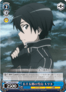 Kirito - Snow Mountain on Floor 55