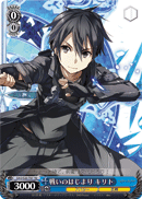 Kirito - Start of the Battle