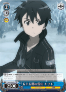 Kirito - Snow Mountain on Floor 55