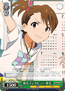 独占インタビュー 亜美