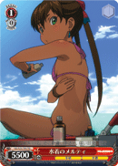 水着のメルティ