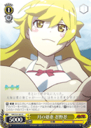 Blessing of the Moon, Shinobu Oshino