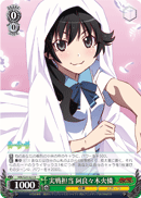 Combat Role, Karen Araragi