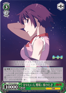 Someone to Protect, Hitagi Senjyogahara