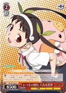 Usual Parting, Mayoi Hachikuji