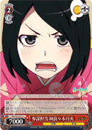 Advisor Role, Tsukihi Araragi