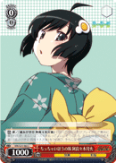 Smaller of the Sisters, Tsukihi Araragi