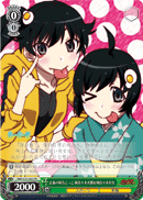 Heroes of Justice Game, Karen Araragi & Tsukihi Araragi