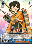 Hiryu-class Aircraft Carrier, Hiryu