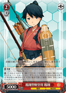 Hosho-class Light Aircraft Carrier, Hosho