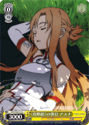 《Lead Group》 Holiday, Asuna