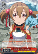 Silica Looking Up At the Sky