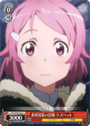 Lisbeth's Material Gathering Adventure