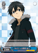 Kazuto Takes on 《ALO》