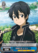 Kirito's Married Life