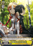 In the Sunlight Forest, Asuna & Kirito