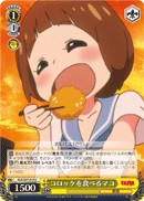Mako Eating Croquettes
