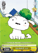 わたあめ犬 シロ
