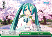 Sakura Rain