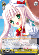 探偵への憧れ アリス