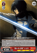 "Direct Sword" Mikasa